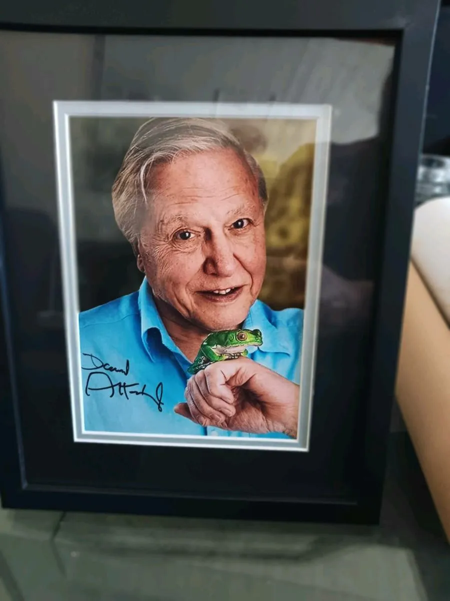 Signed pictures - Image 2