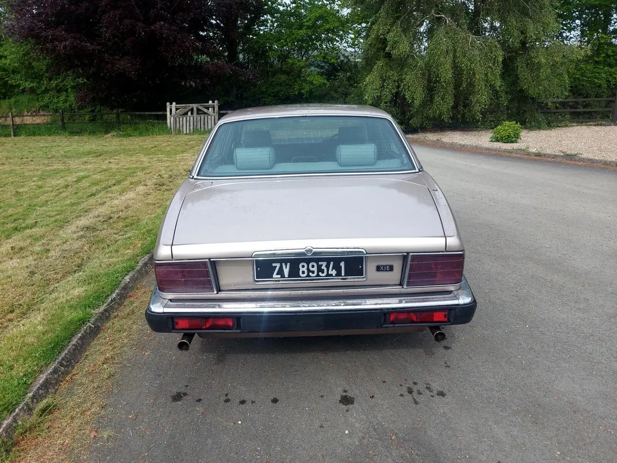 Jaguar xj6 - Image 2