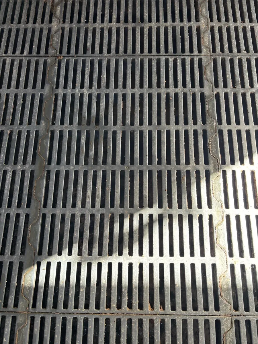 Farrowing crates /slats / penning/feeders - Image 3