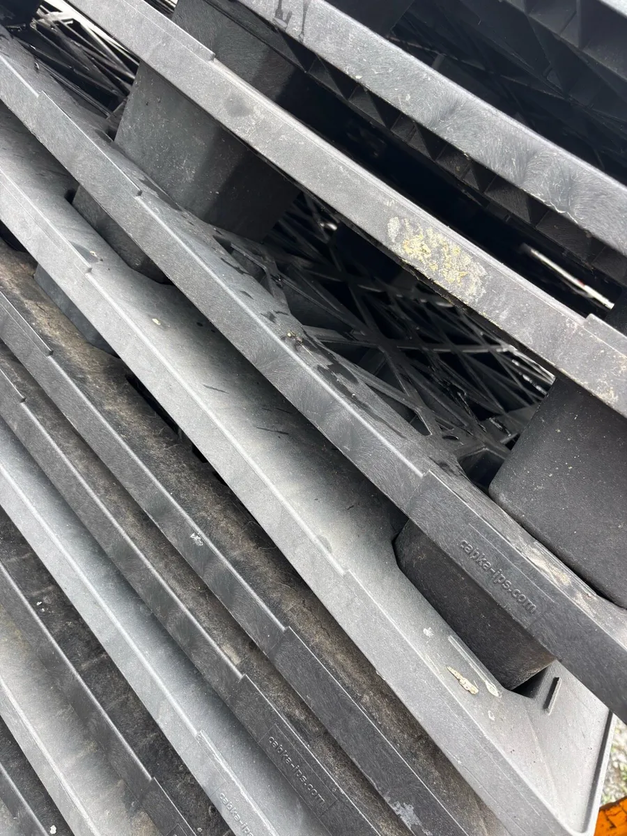 Plastic pallets - Image 2
