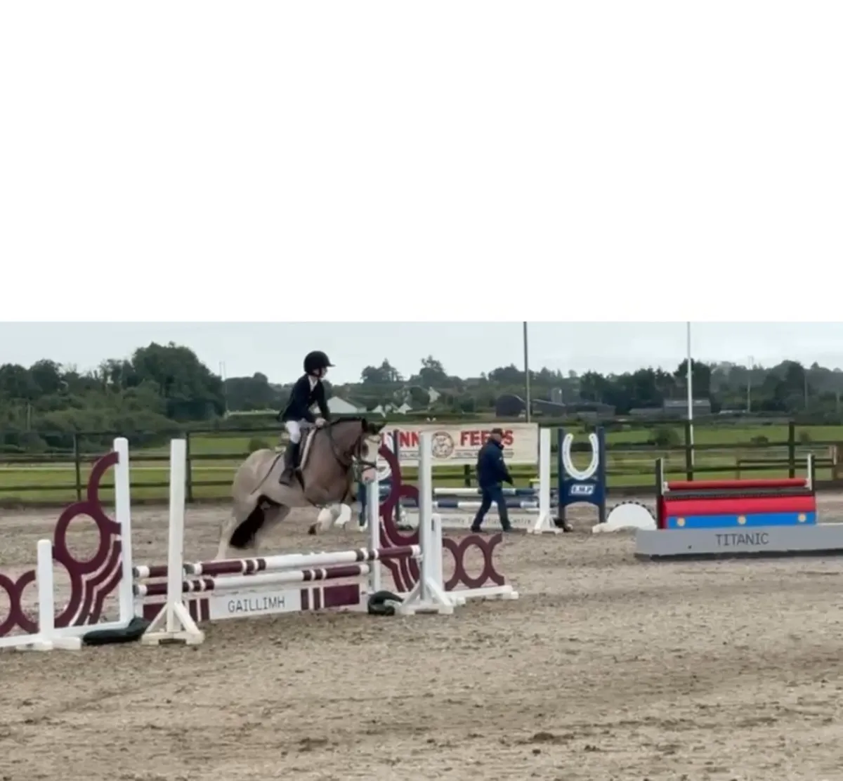 Amazing 12.2 pony - Image 1