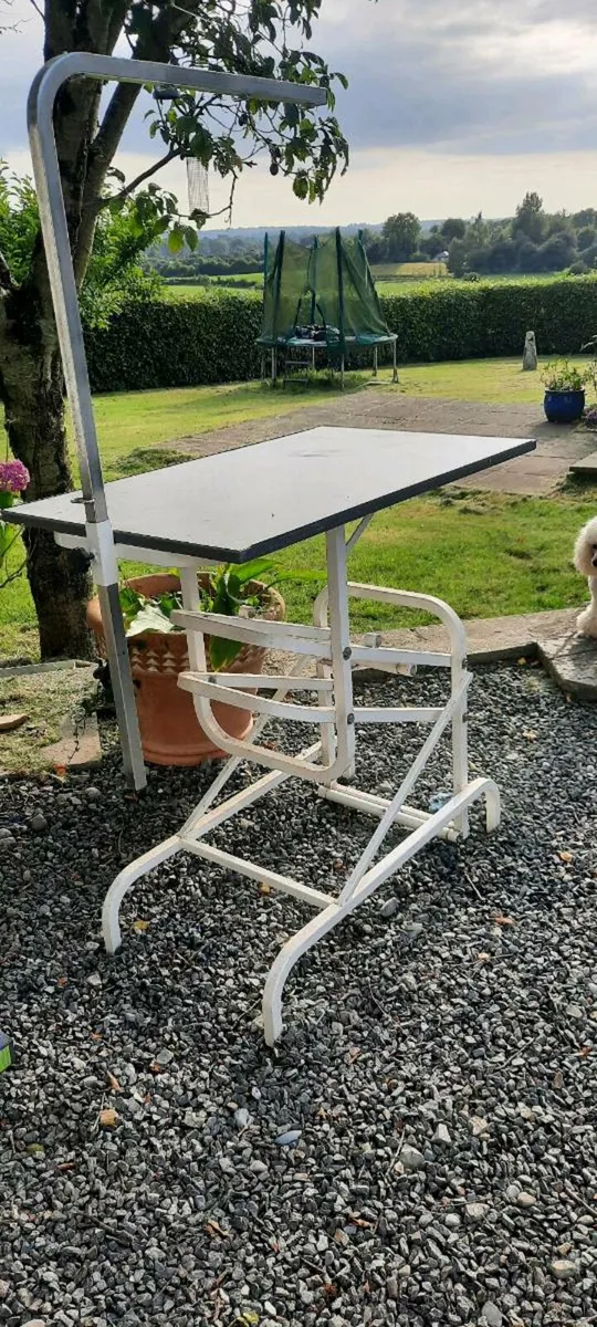 Dog grooming table - Image 1