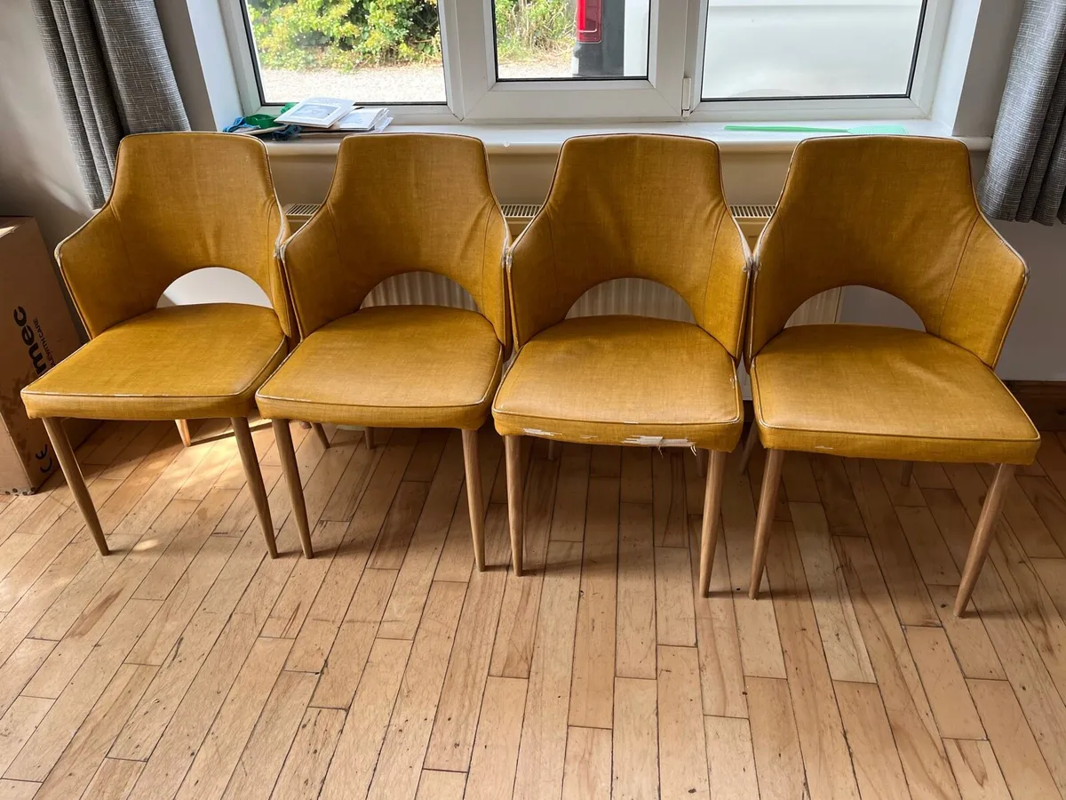 Free - Kitchen chairs - Image 1
