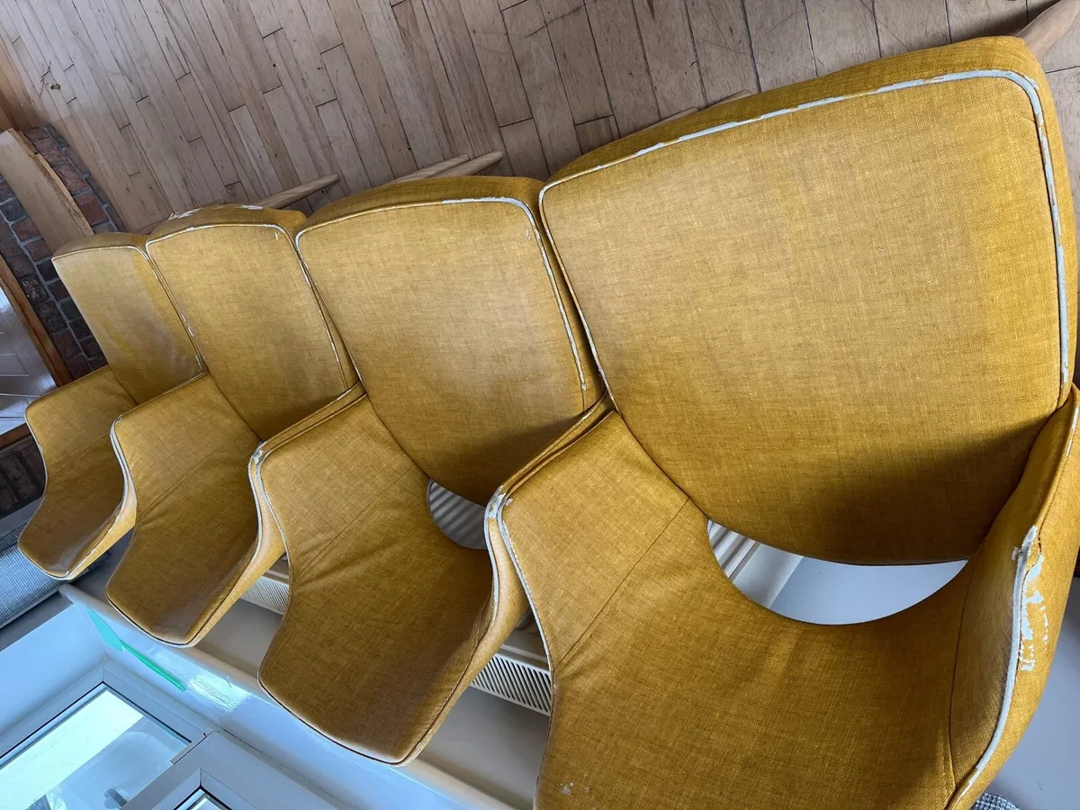 Free - Kitchen chairs - Image 3