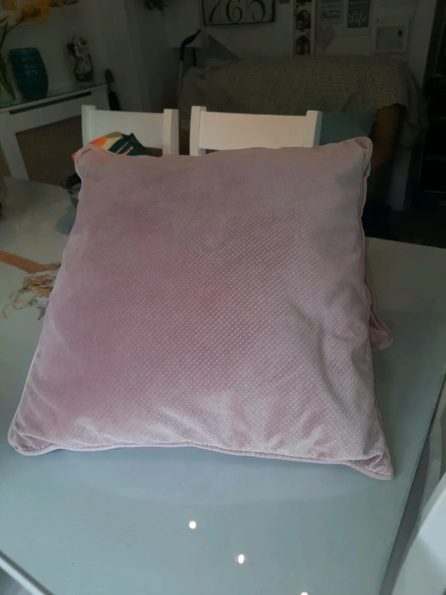 Two large Cushions - Image 2