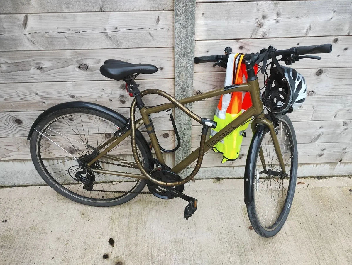 Bicycle Ridgeback Speed - EXCELLENT CONDITION - Image 1