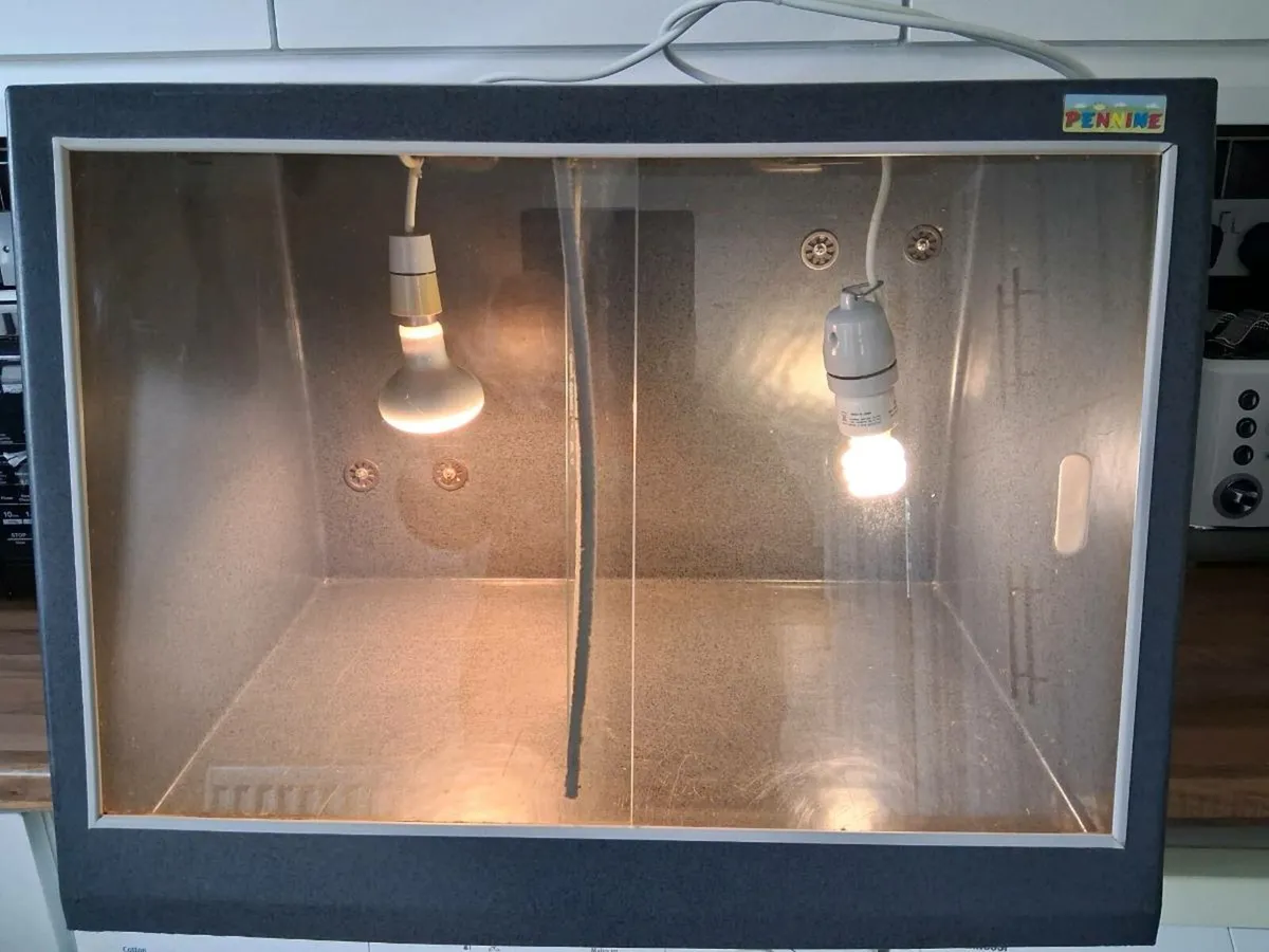 Reptile Aquarium - Image 1