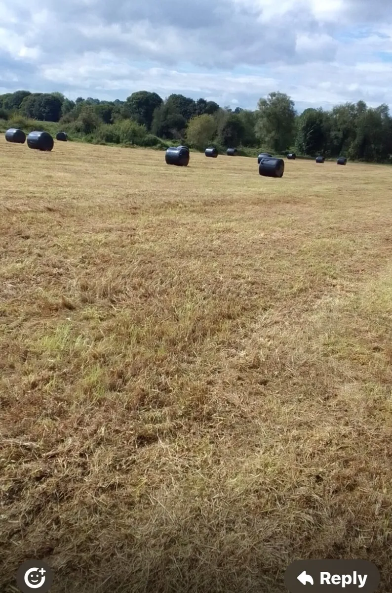 Silage - Image 1