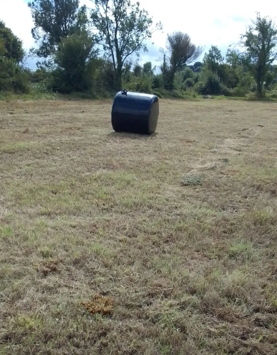 Silage - Image 2