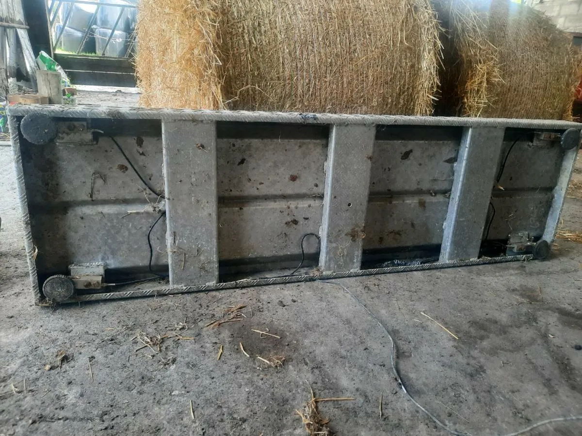 Cattle weighing scales - Image 4