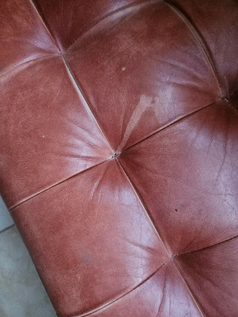 Tan - Black Base - 140cm - Image 4