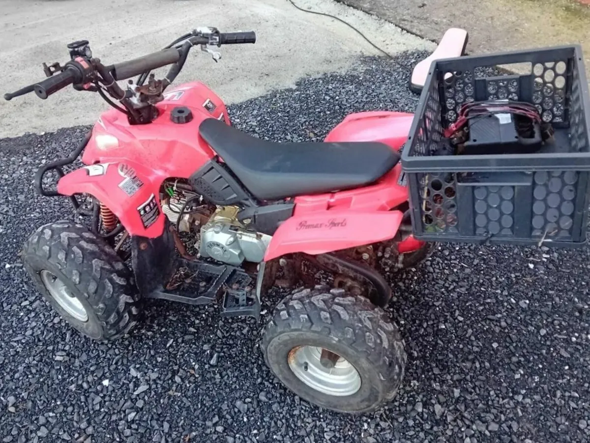 Bandit 110cc quad - Image 3