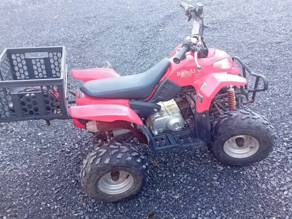 Bandit 110cc quad - Image 4