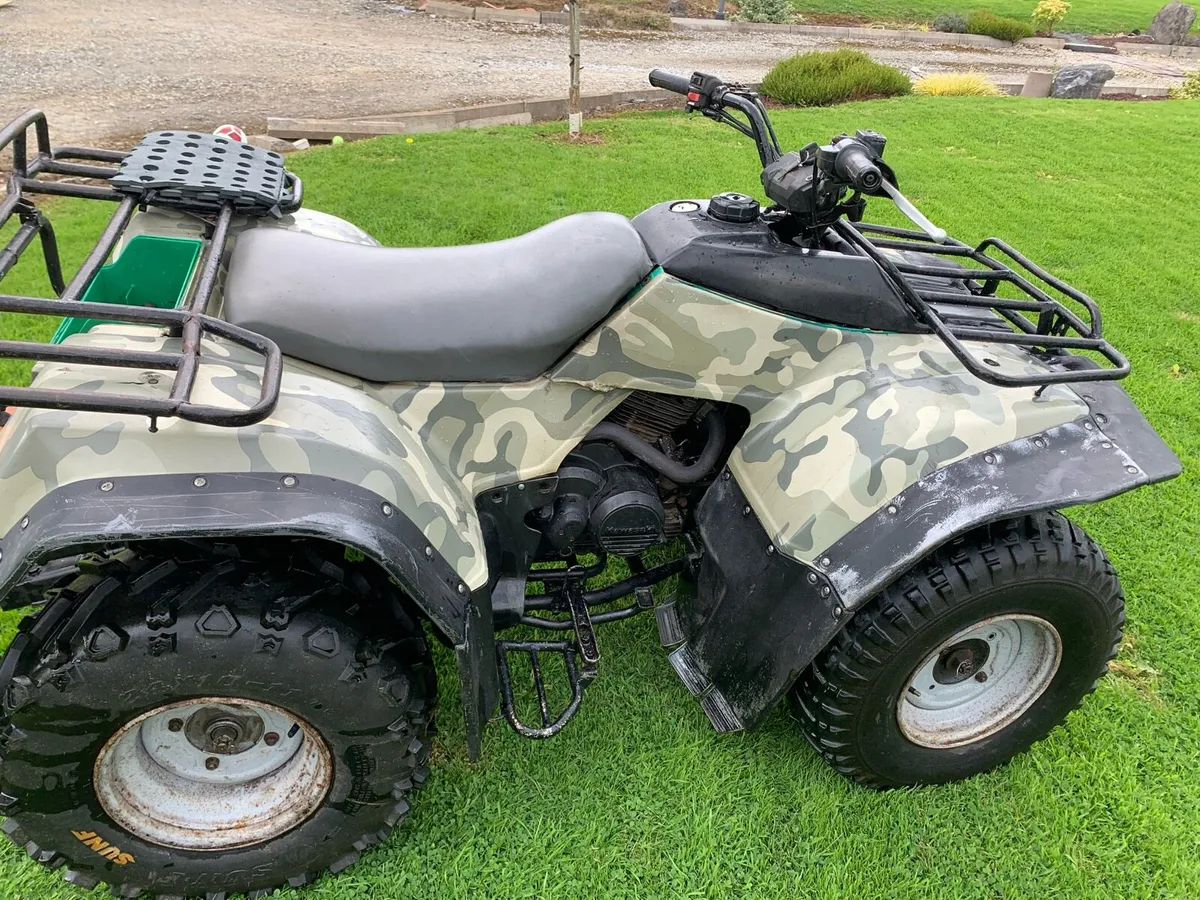 Quad/Mower/Grass Collector/Trailer - Image 2