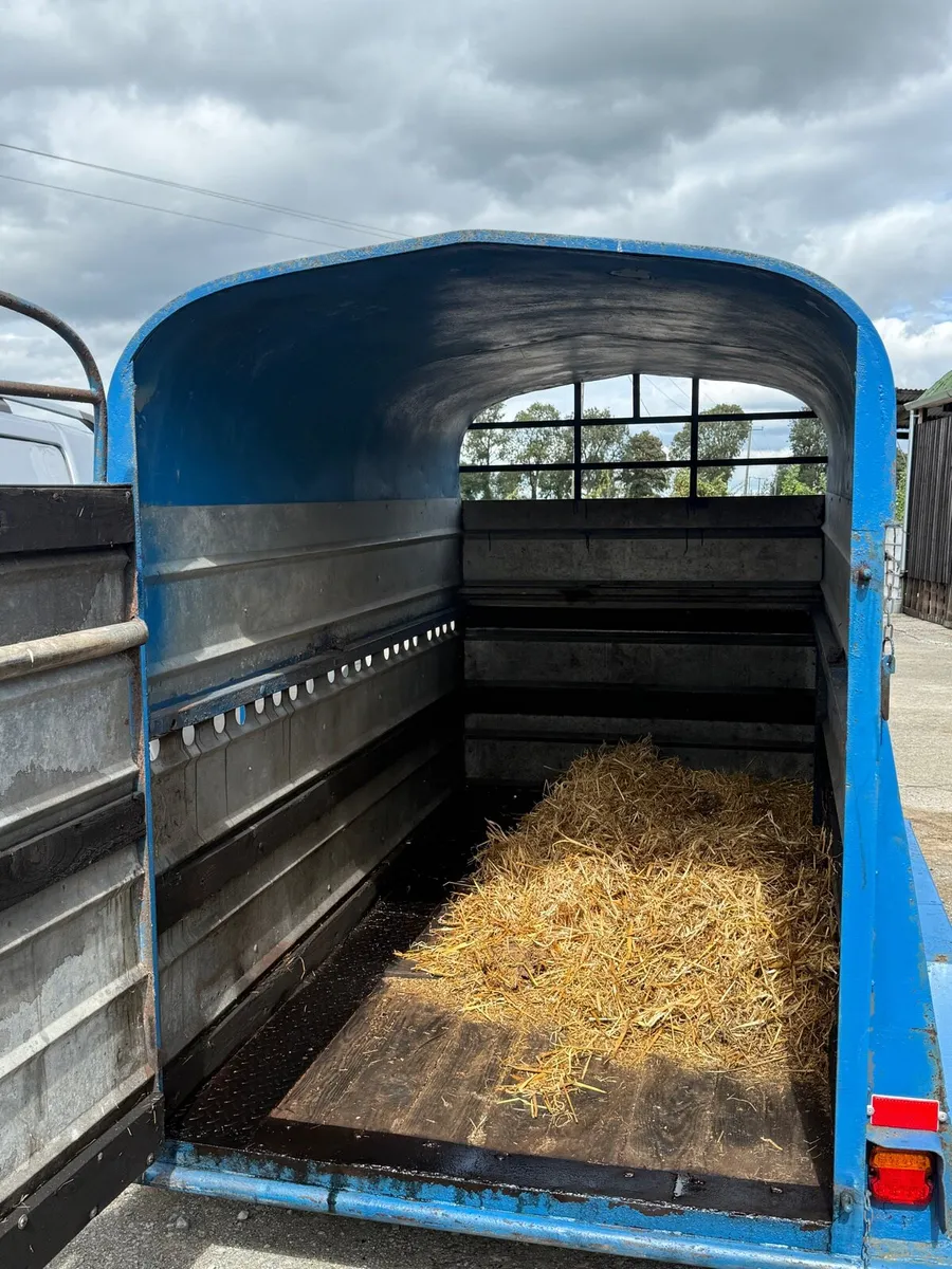 2 Cow Box Trailer - Image 3