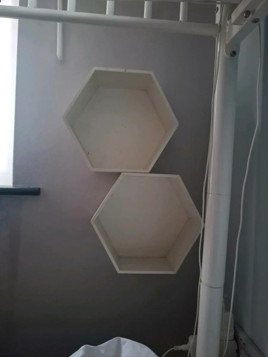 Shelves - Image 1