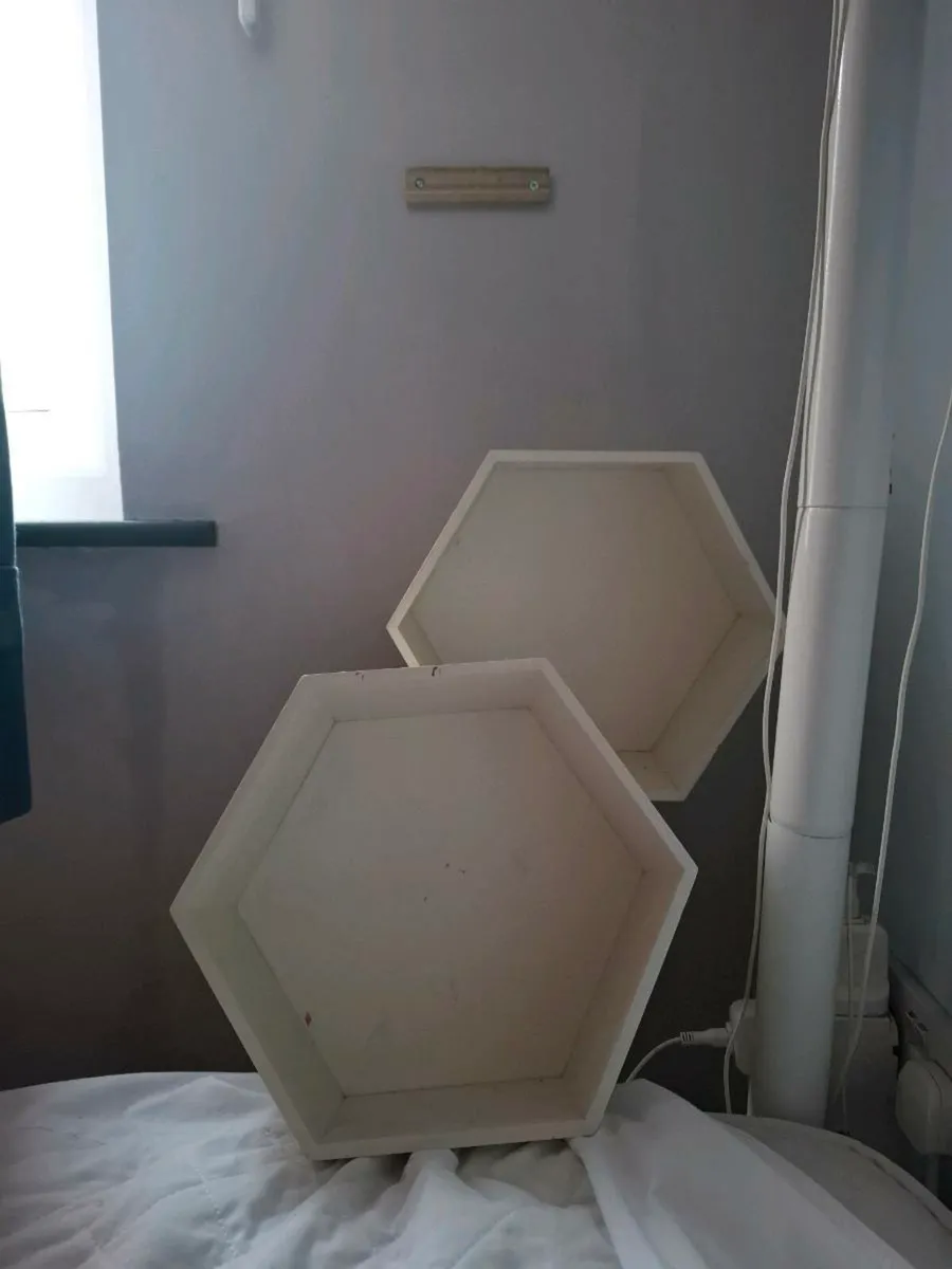 Shelves - Image 2