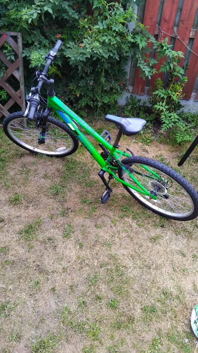 Bike - Image 2