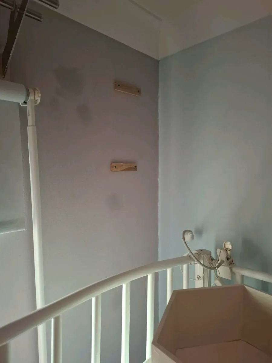 Shelves - Image 3