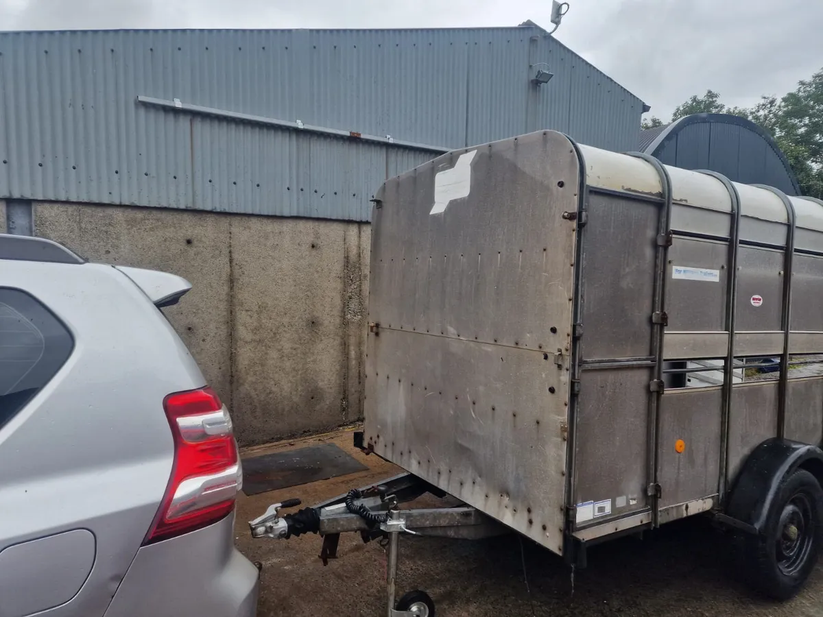 Used 12 X 6 Ivor Williams Trailer - Image 2