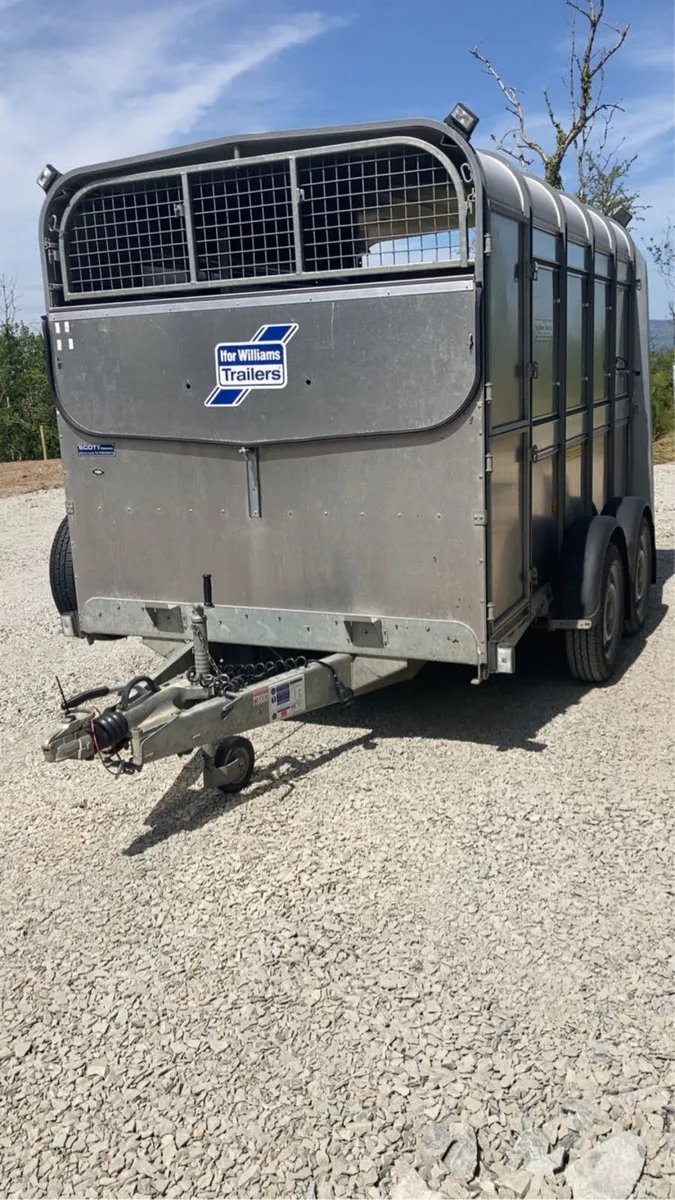 Ifor Williams 10x6 - Image 1