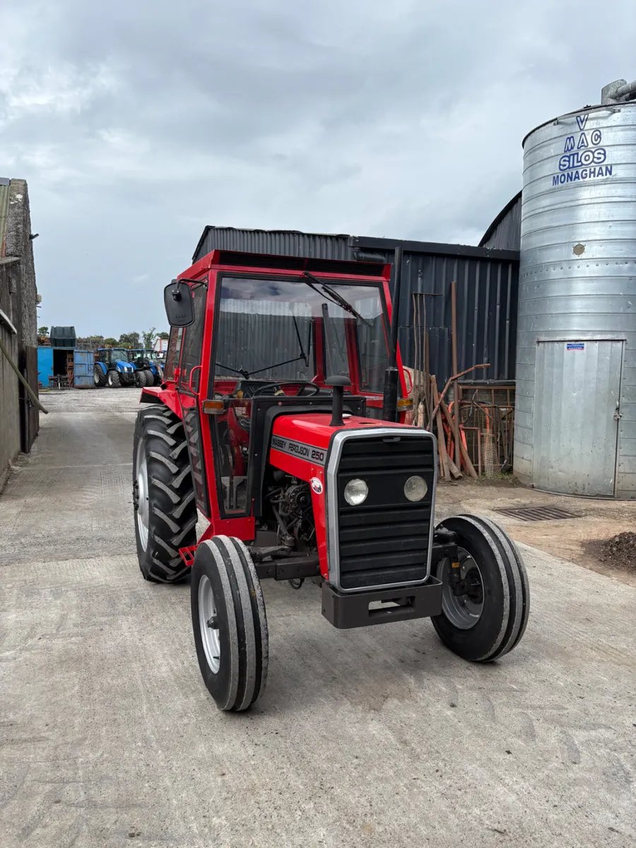 Massey Ferguson 250 - Image 3