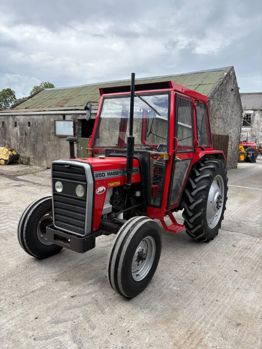 Massey Ferguson 250 - Image 2
