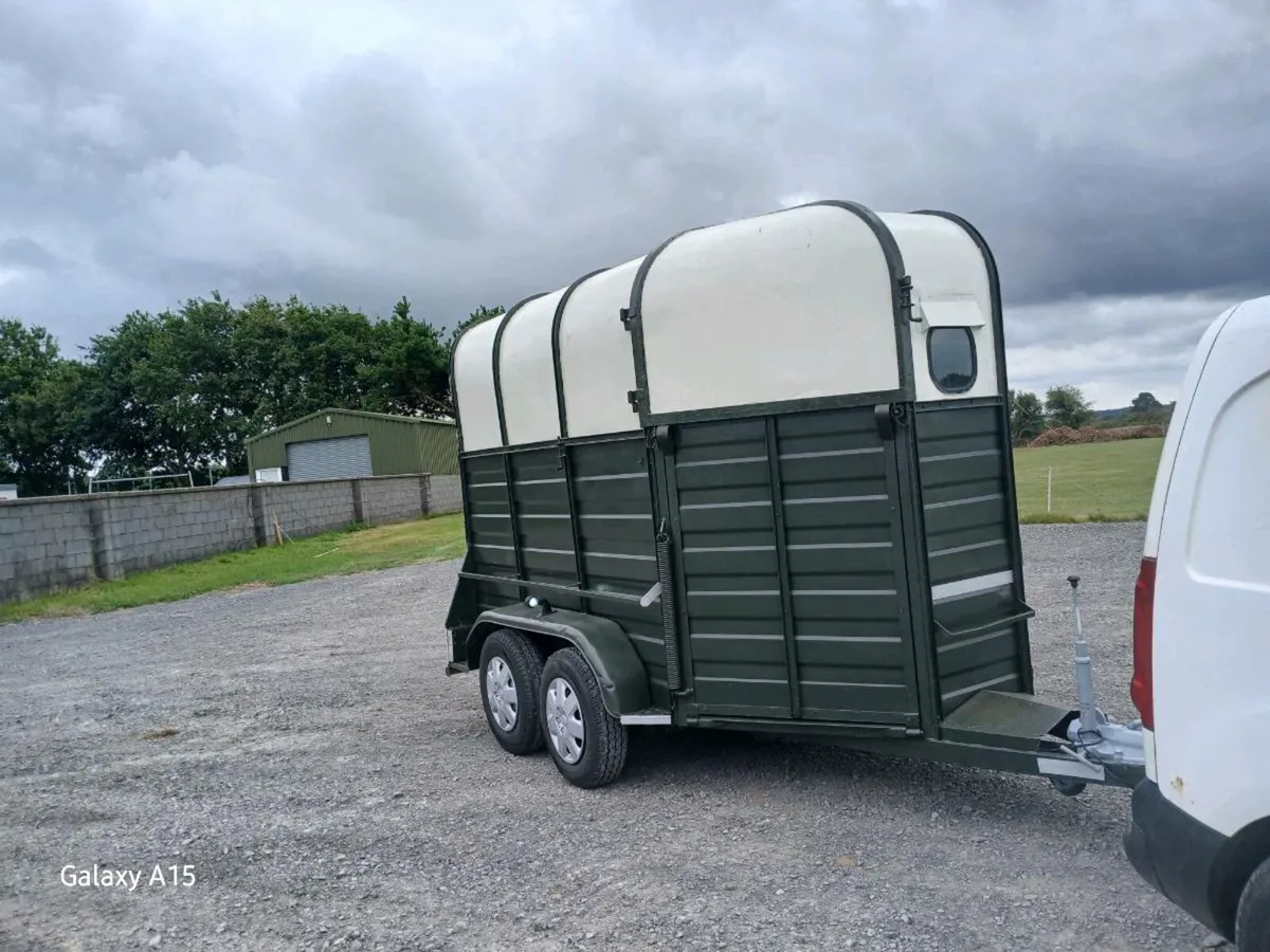 Galway horse box - Image 1