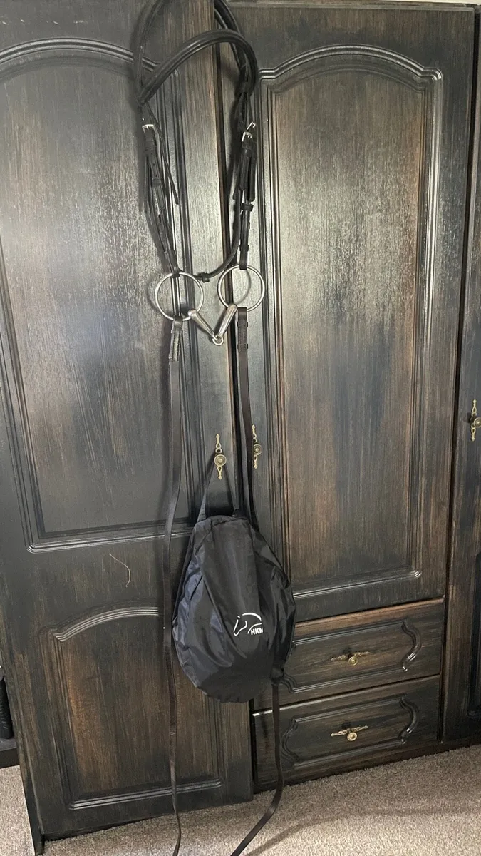 Helmet, bridle, surcingle (full size) - Image 2