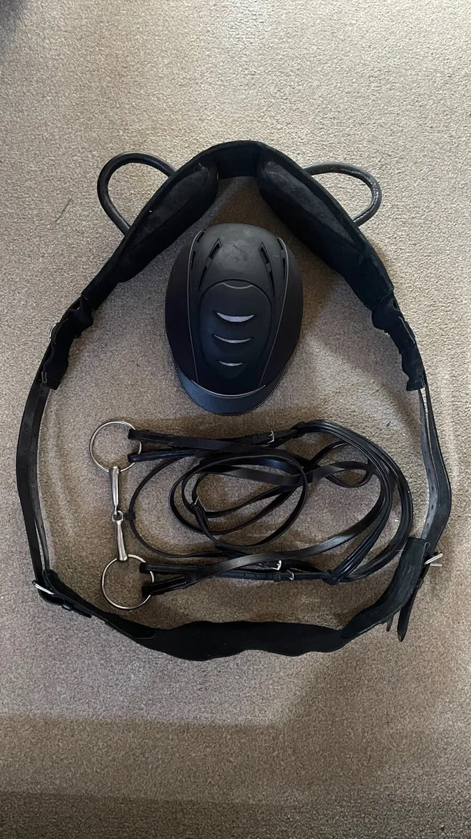 Helmet, bridle, surcingle (full size) - Image 1