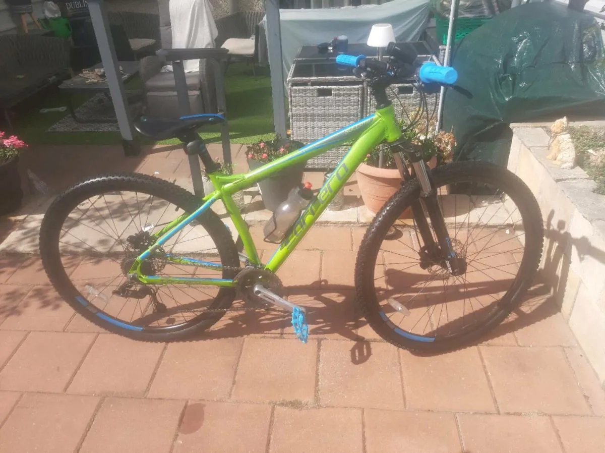 Carrera sulcata 29er serviced - Image 2