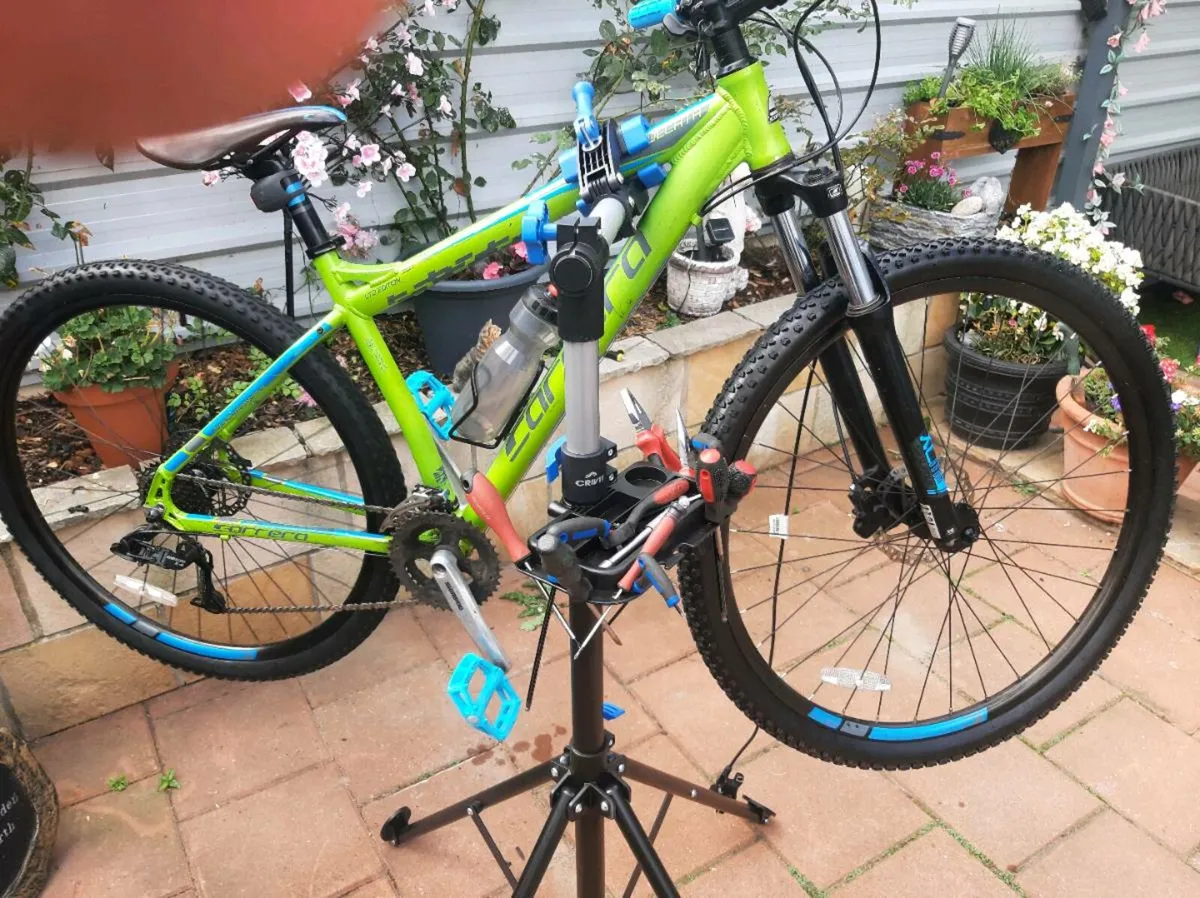 Carrera sulcata 29er serviced - Image 4