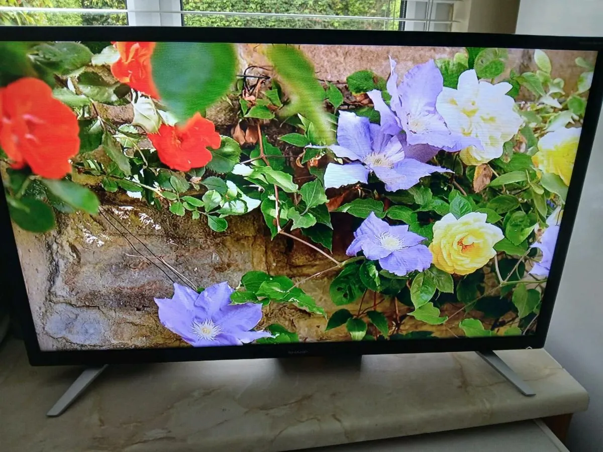 Sharp 32 inch hdmi Saorview tv. - Image 1