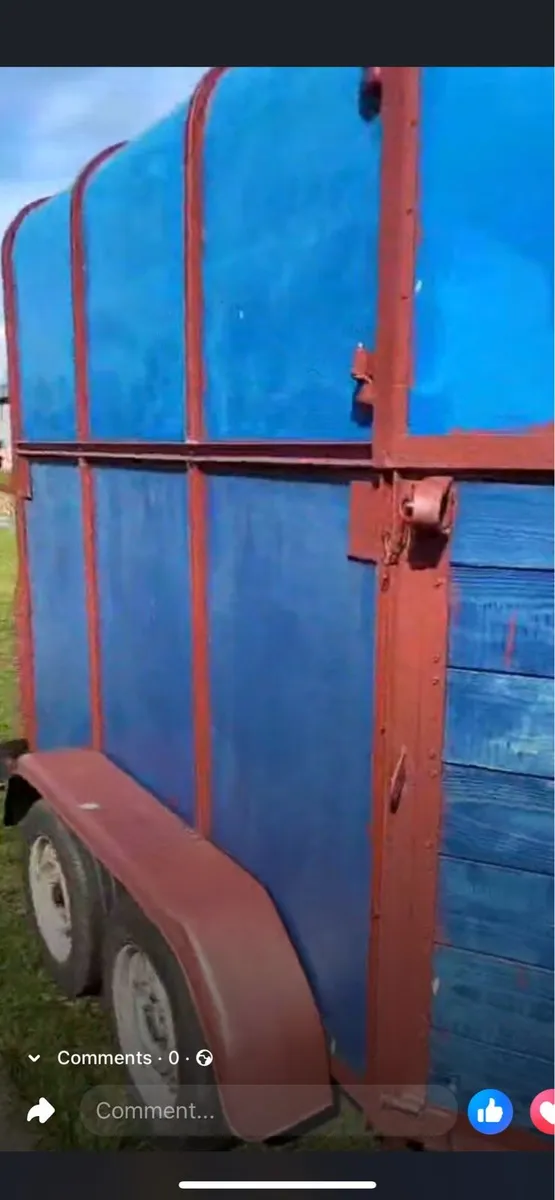 Horse box - Image 2