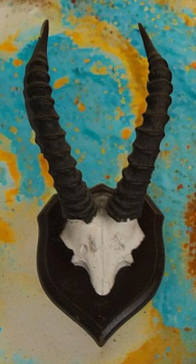 Vintage Taxidermy - Image 1