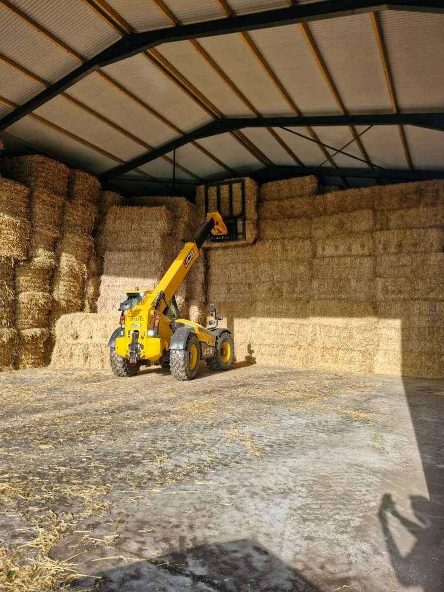 Barley Straw - Image 1