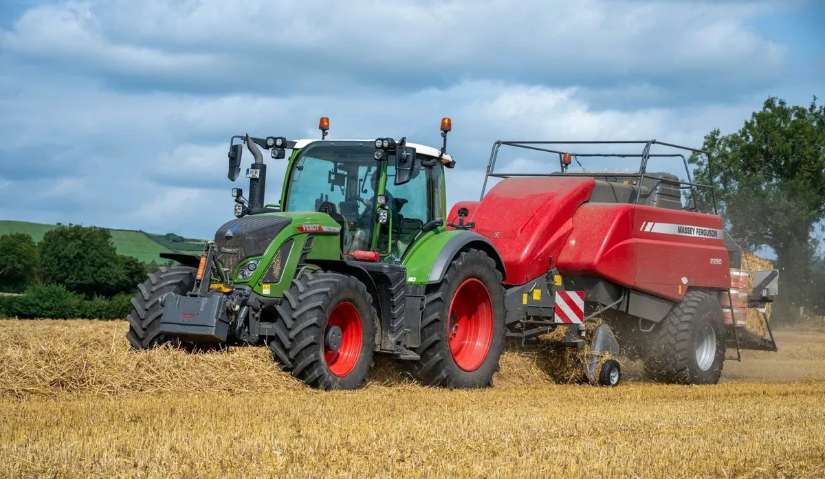 Barley Straw - Image 2