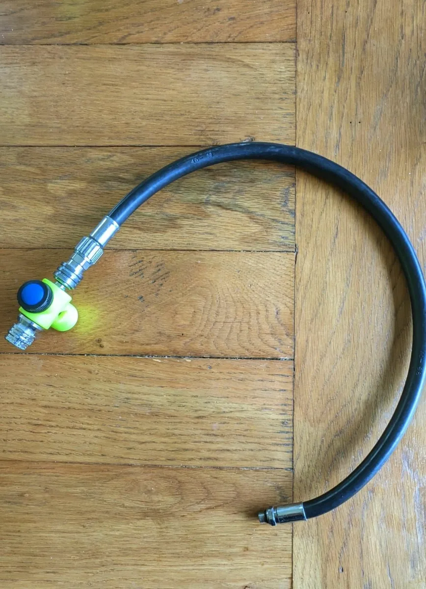 Dive Horn - Good Condition - Image 3