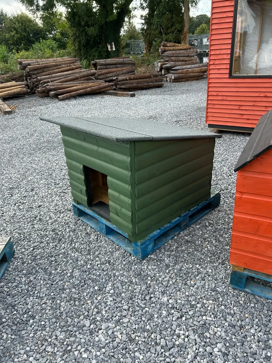 Dog House
