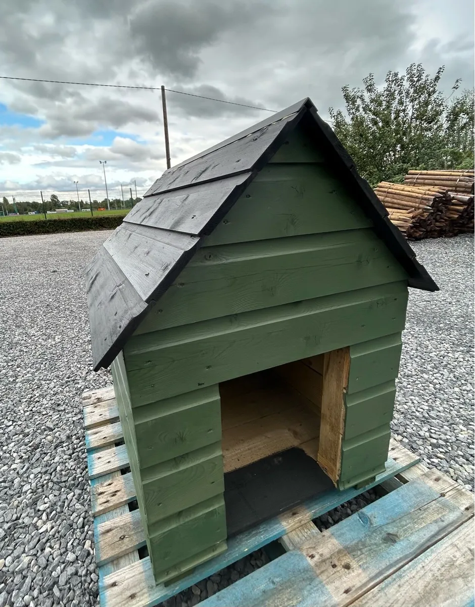 Dog Shed.