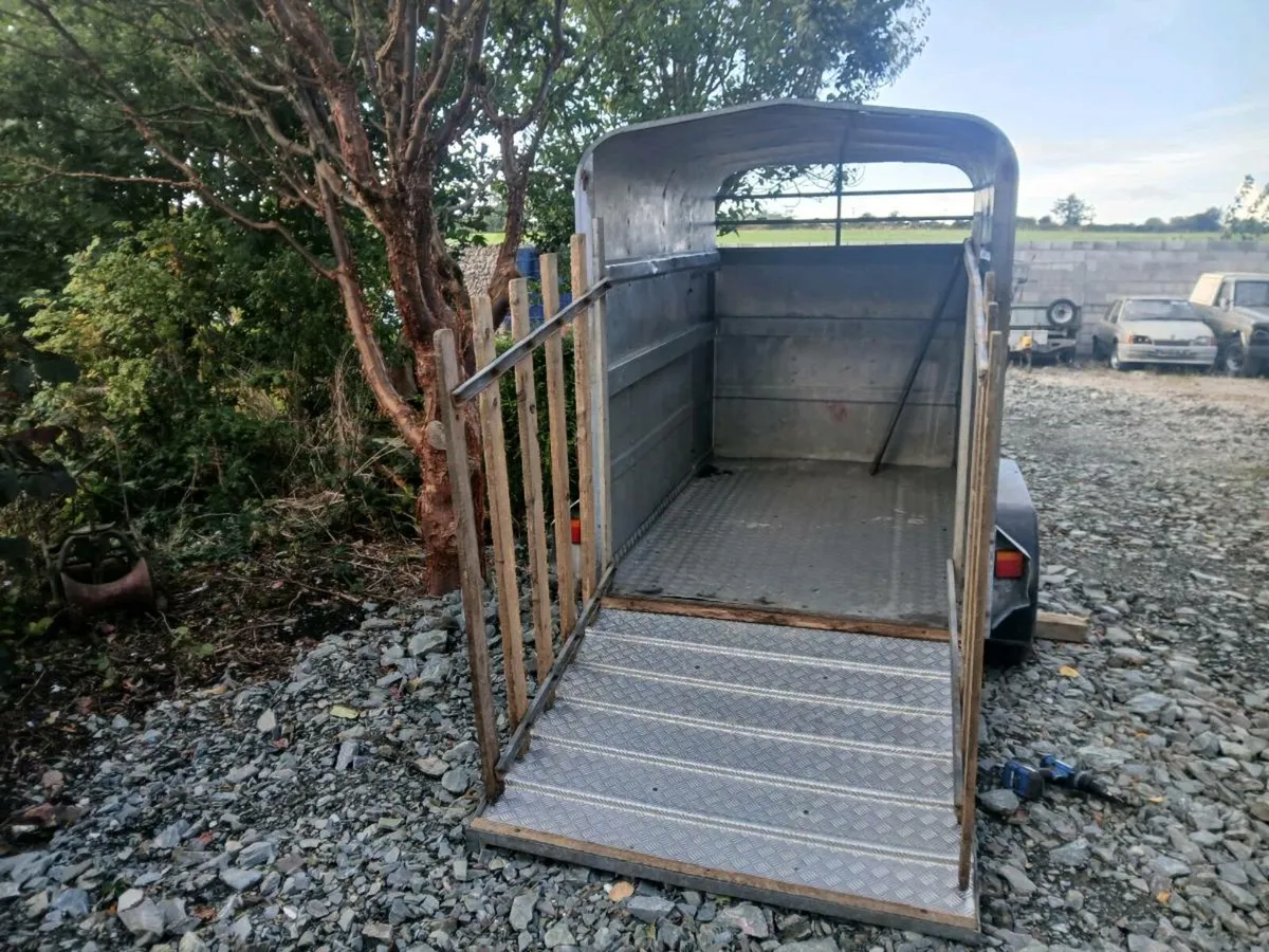 Aerlite 2 cow cattle trailer 8ft x5ft FERMOY - Image 3
