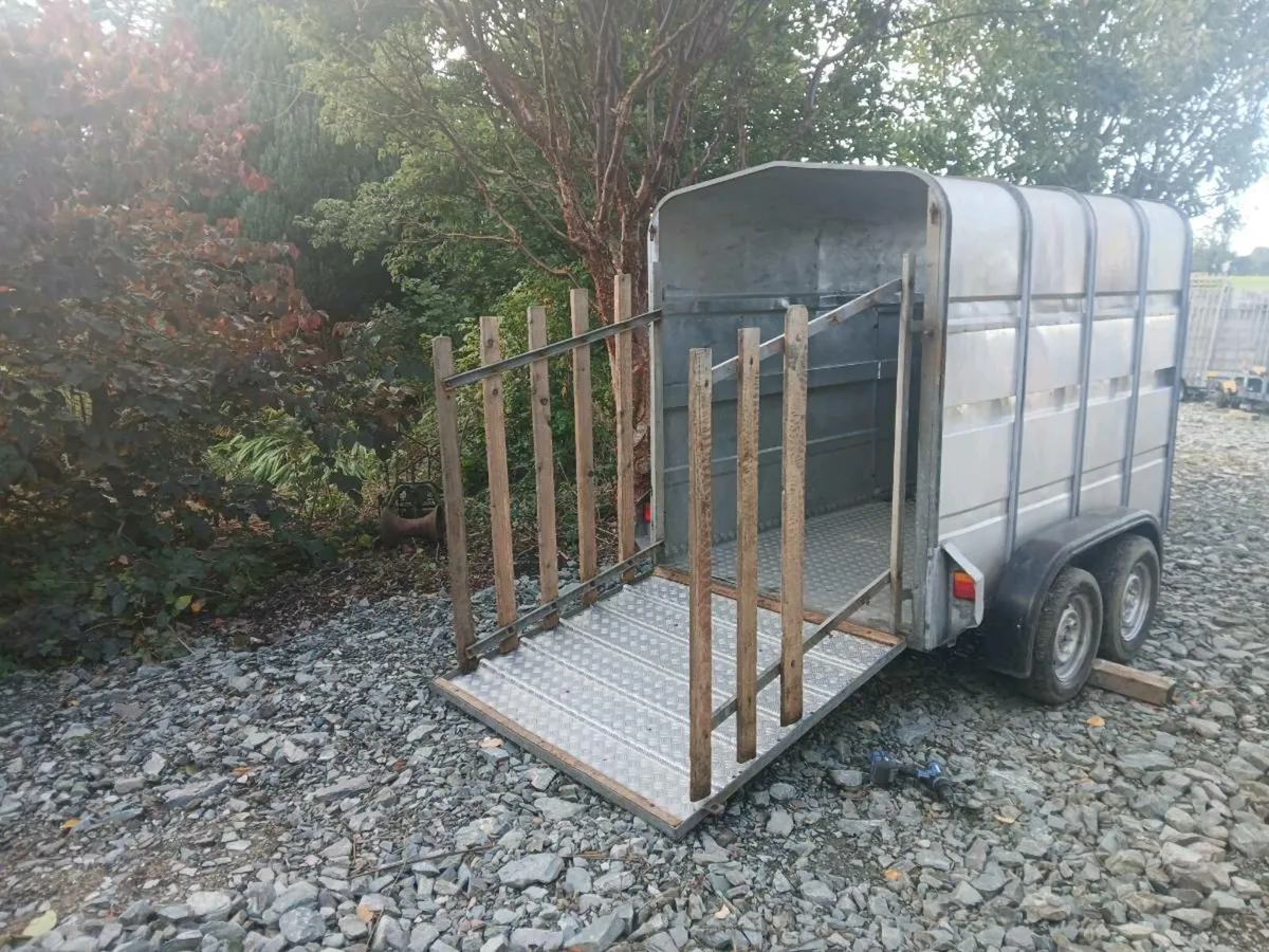 Aerlite 2 cow cattle trailer 8ft x5ft FERMOY - Image 4