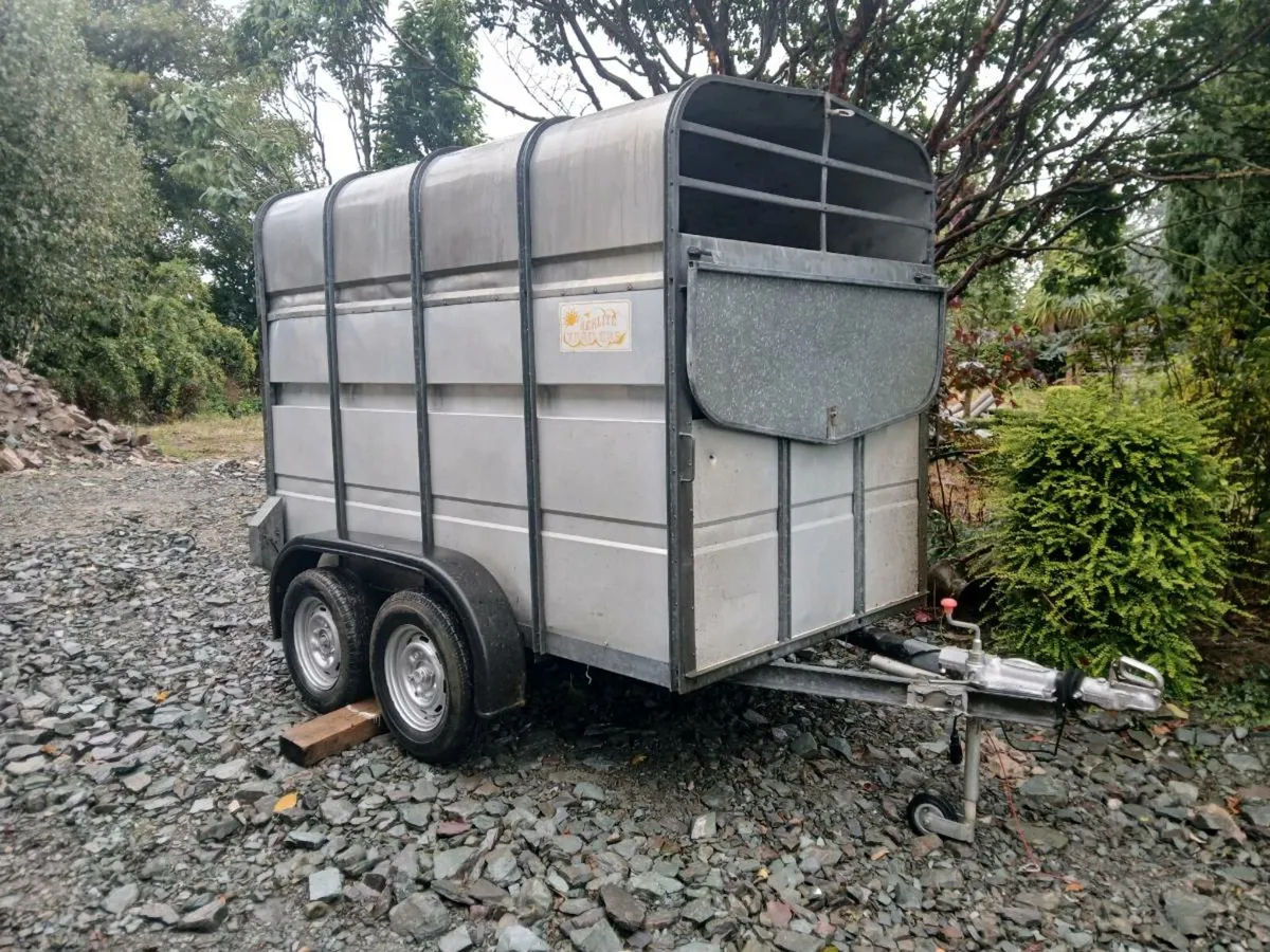 Aerlite 2 cow cattle trailer 8ft x5ft FERMOY - Image 1
