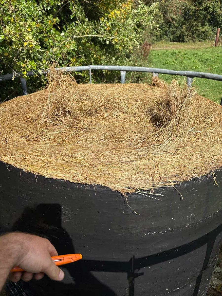 Top Quality Haylage - Image 3