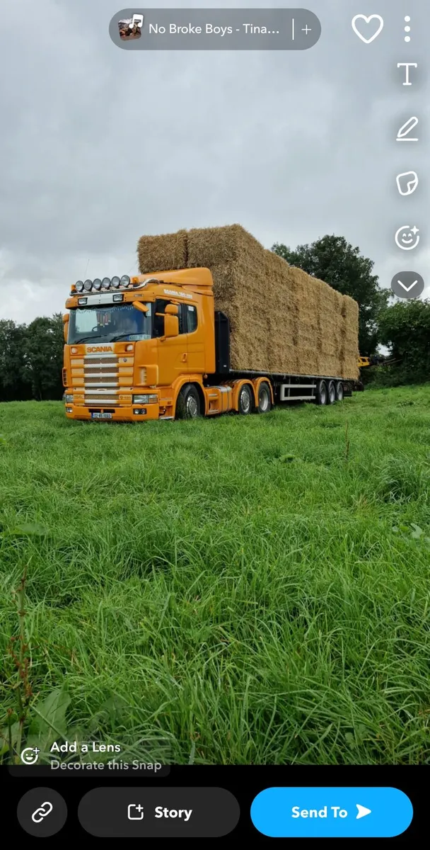 Barley straw for sale - Image 1