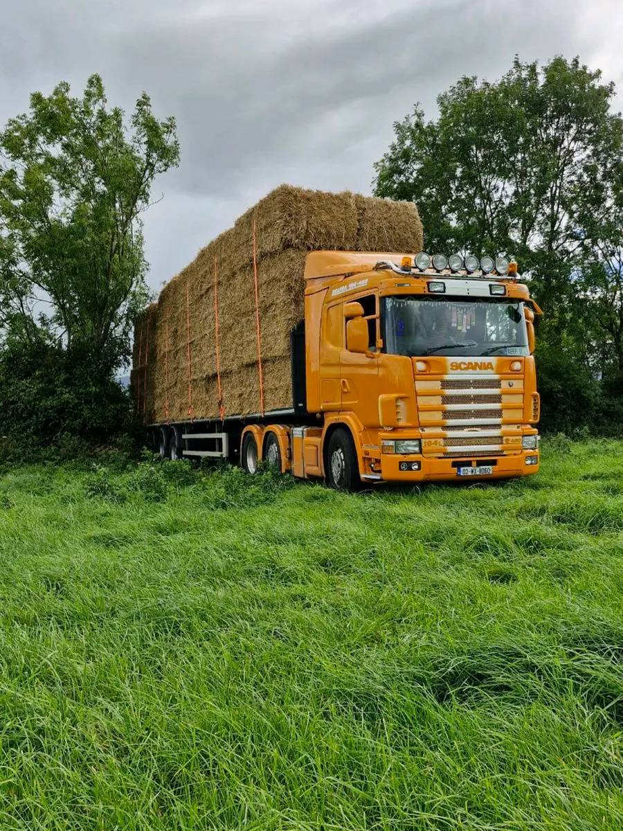 Barley straw for sale - Image 2