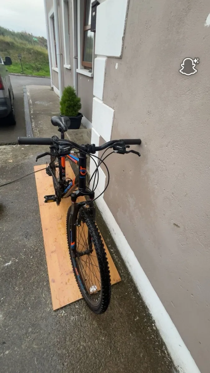 Mountain bike - Image 1