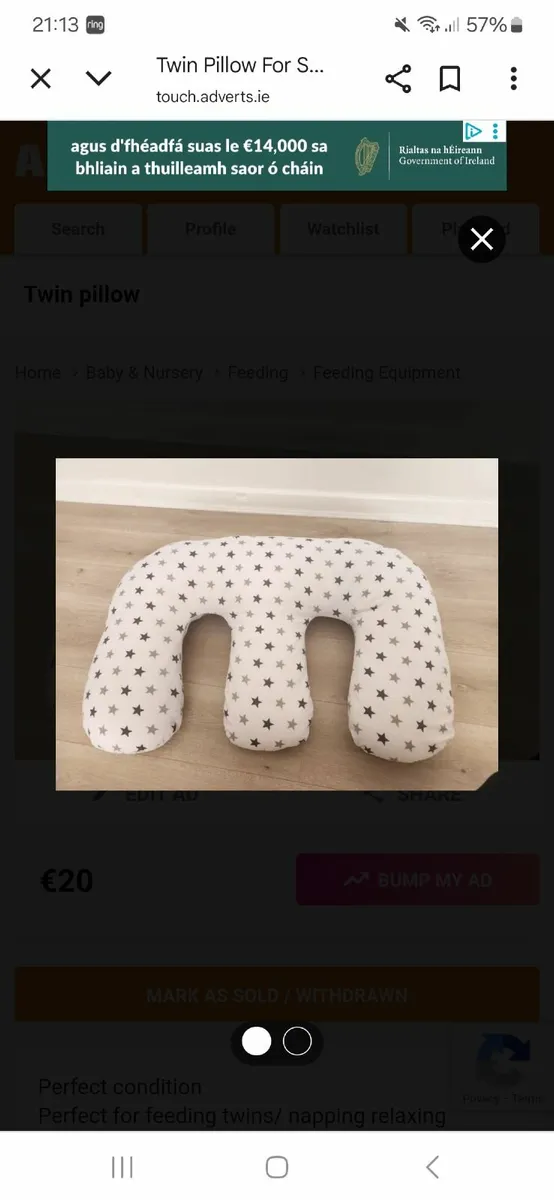 Twin feeding pillow