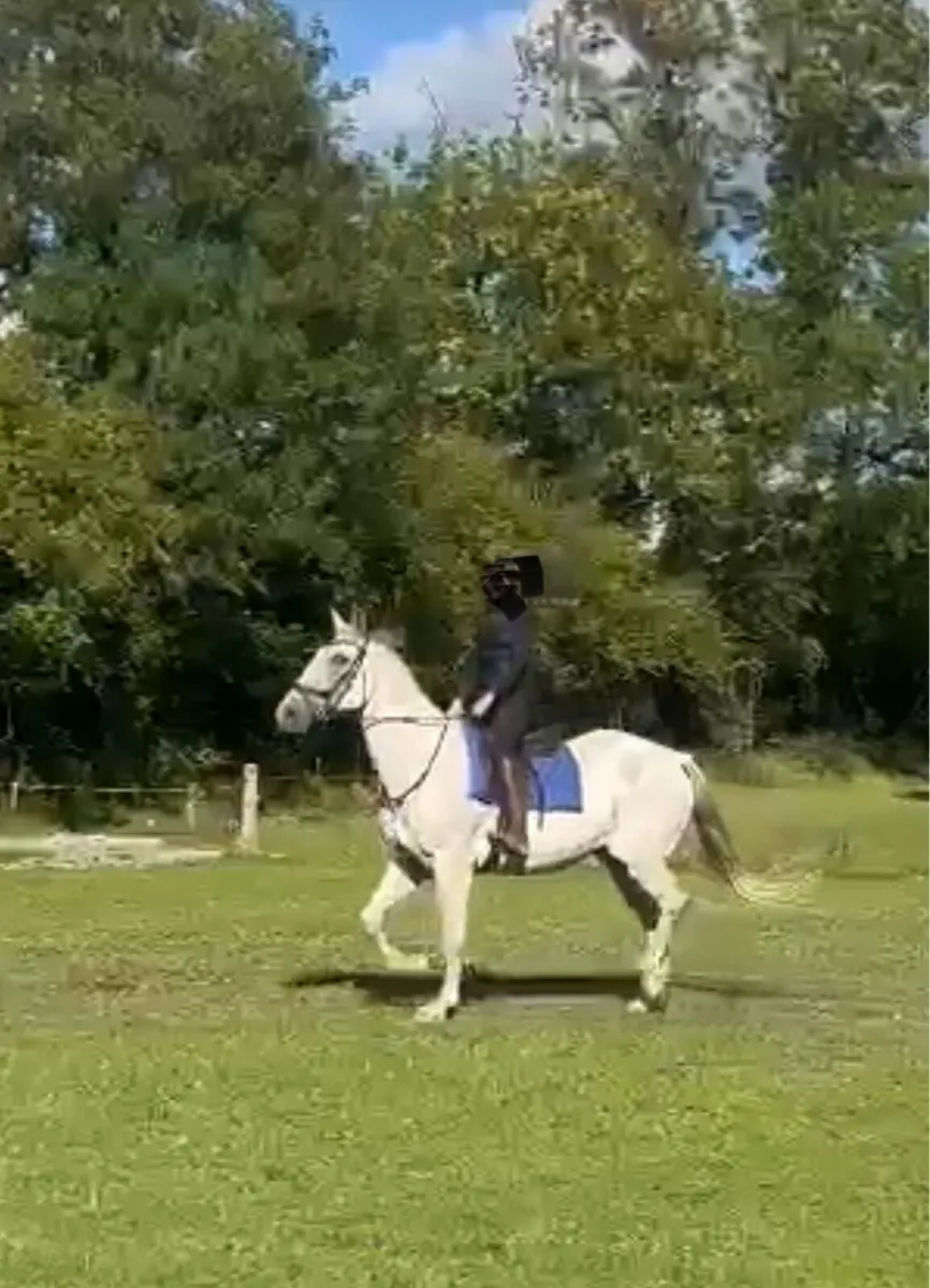 16’2 bombproof happy hacker