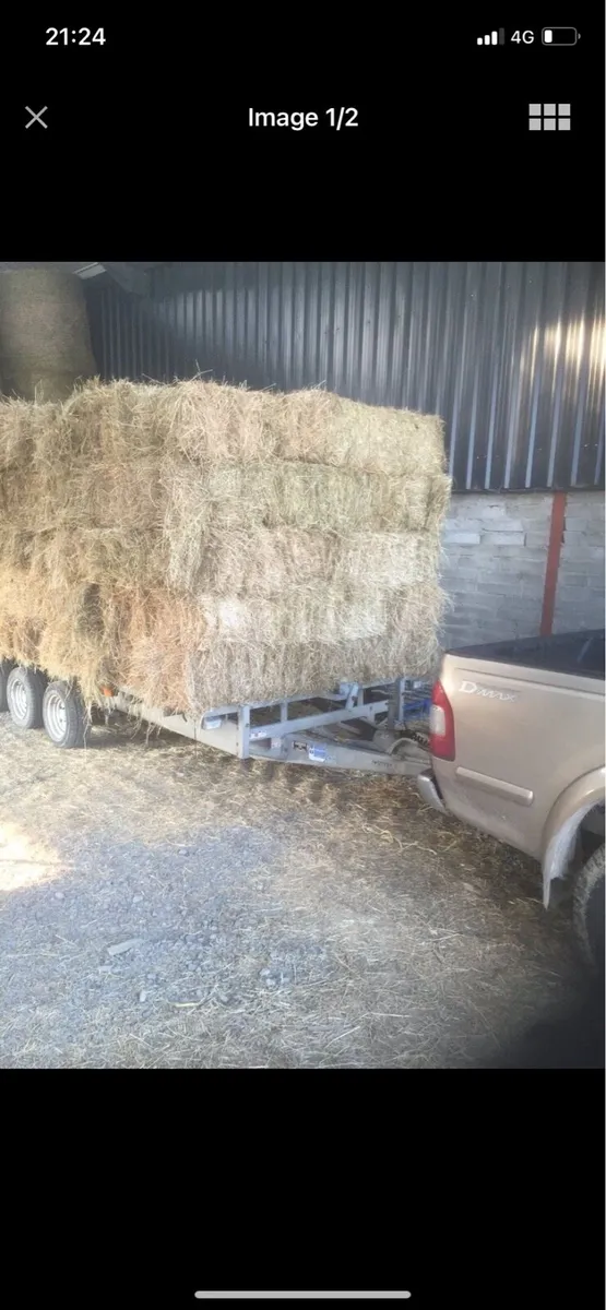 Square Bales (Hay) - Image 1